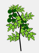 comprehensive design report