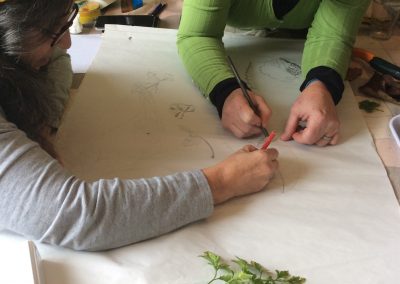 Permaculture design course participants drawing