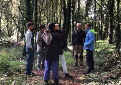 Learning permaculture in the woodlands with students