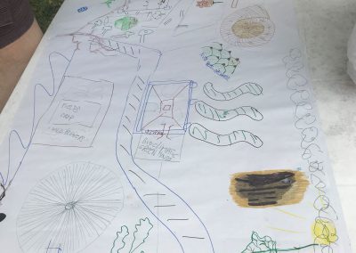 permaculture is nature learning