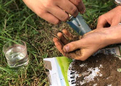 Permaculture course 3 1