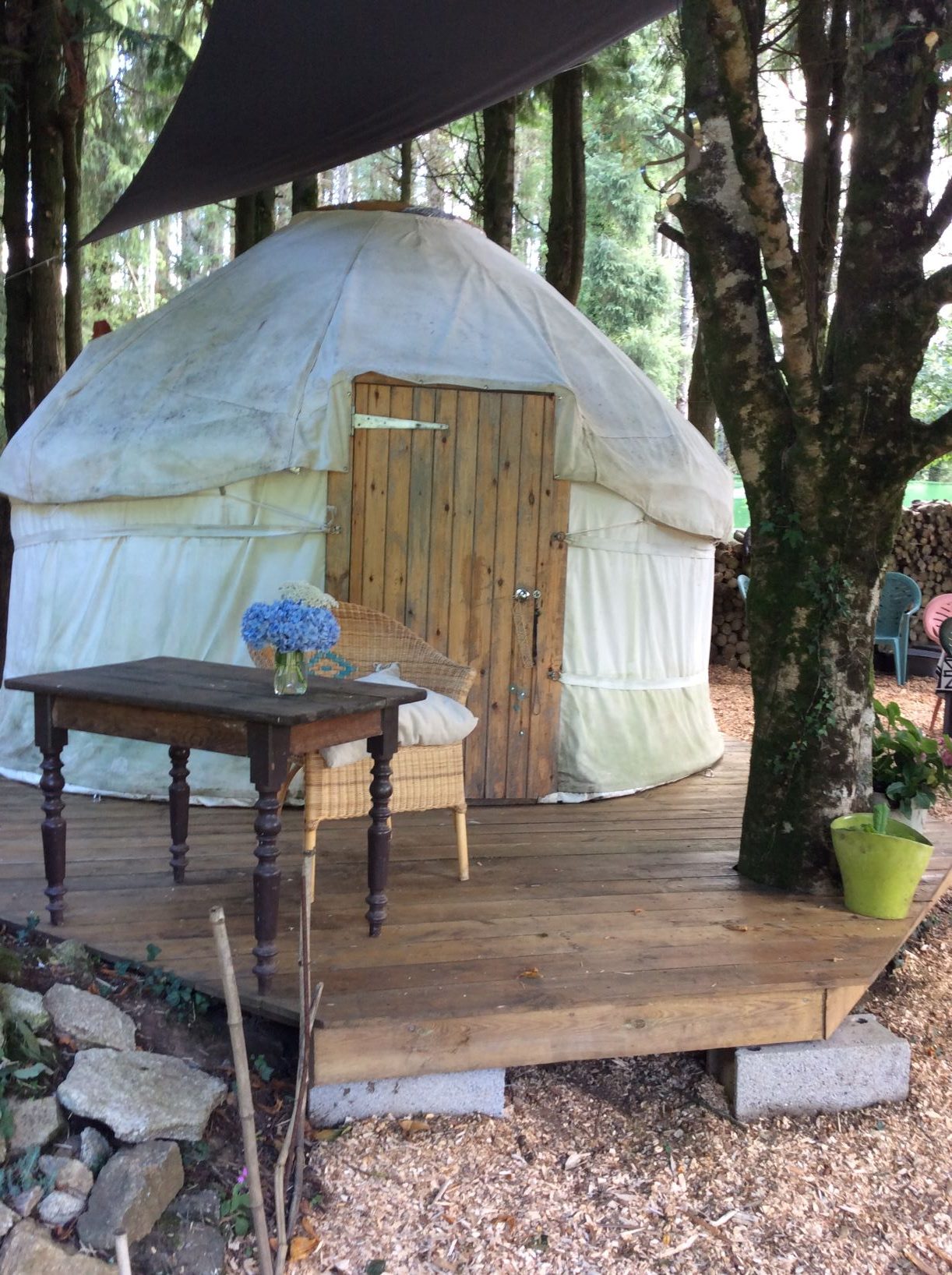 Yurt @Bellevue Accommodation 1 rotated