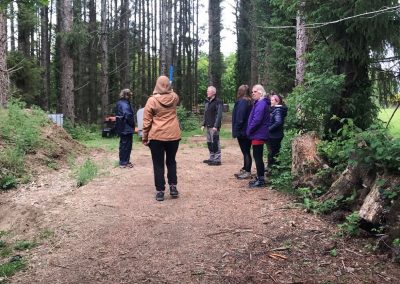 learning permaculture - how to measure a tree