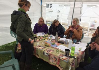 Teaching a permaculture design course with students