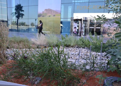 Corporate Garden design for my portfolio