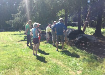 Learning Permaculture Gardening with Karen in Brittany France