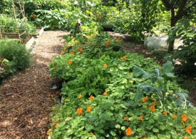 Learn permaculture gardening in brittany France