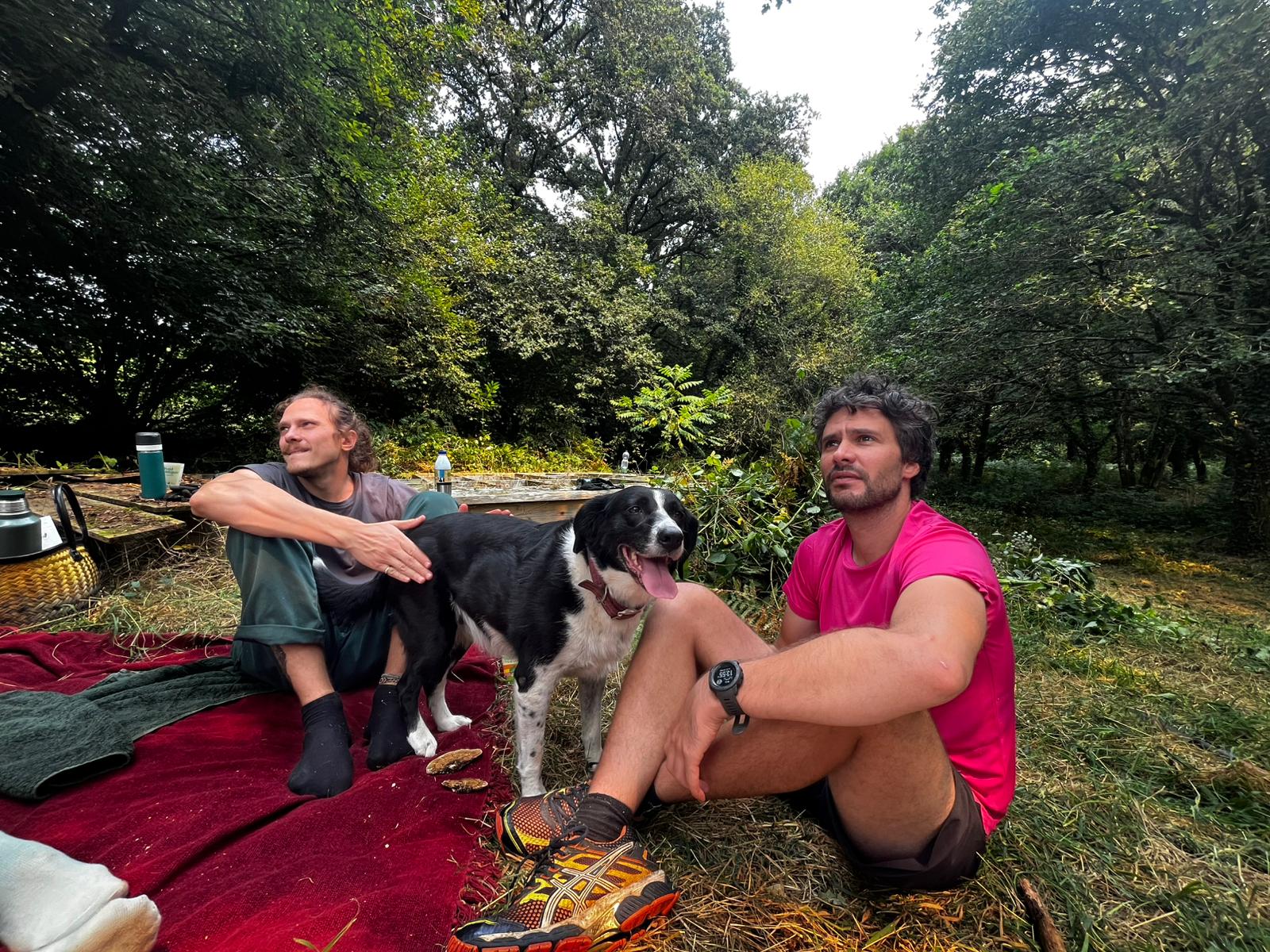 Home 1 Winter morning image of Afrinoon vegetable garden